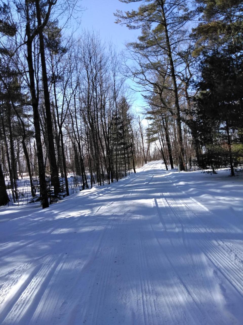 Bed And Breakfast Suite At The Wooded Retreat Pine City Exteriör bild