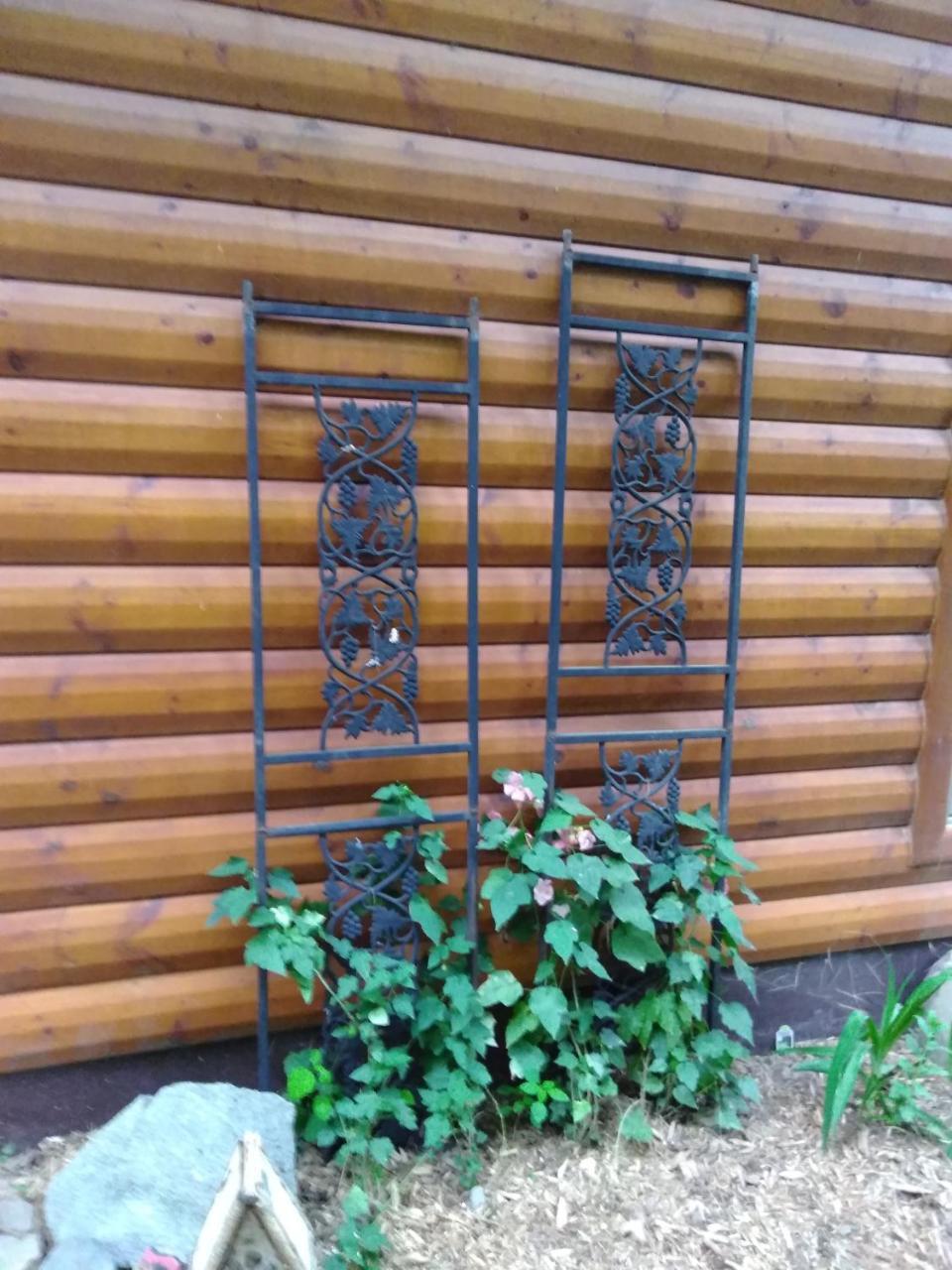 Bed And Breakfast Suite At The Wooded Retreat Pine City Exteriör bild
