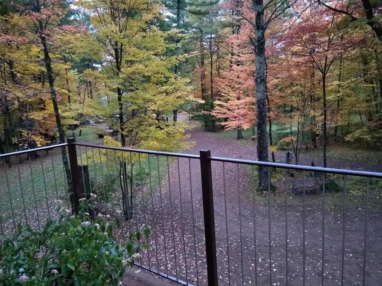Bed And Breakfast Suite At The Wooded Retreat Pine City Exteriör bild